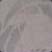 Stenciled Tissue
